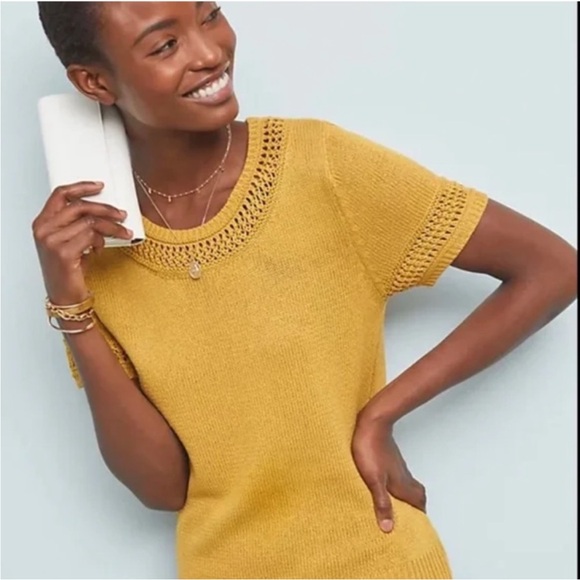 Anthropologie Tops - Anthropologie Lattice Sweater T shirt